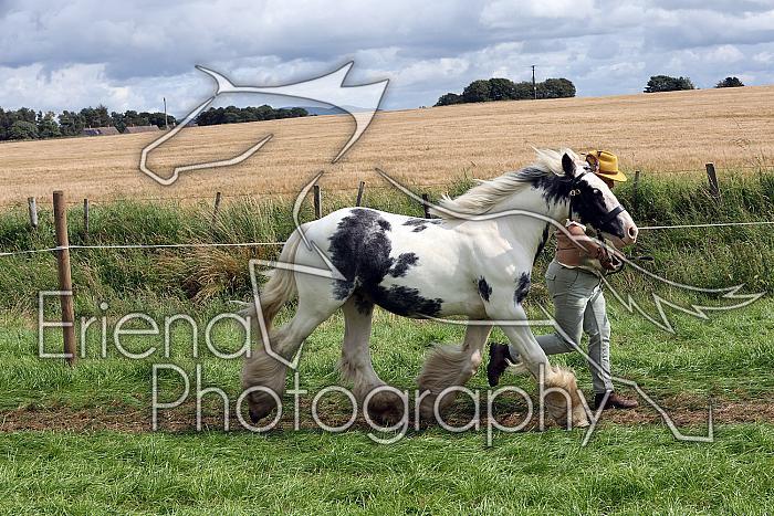 Carnwath2025Ring1637