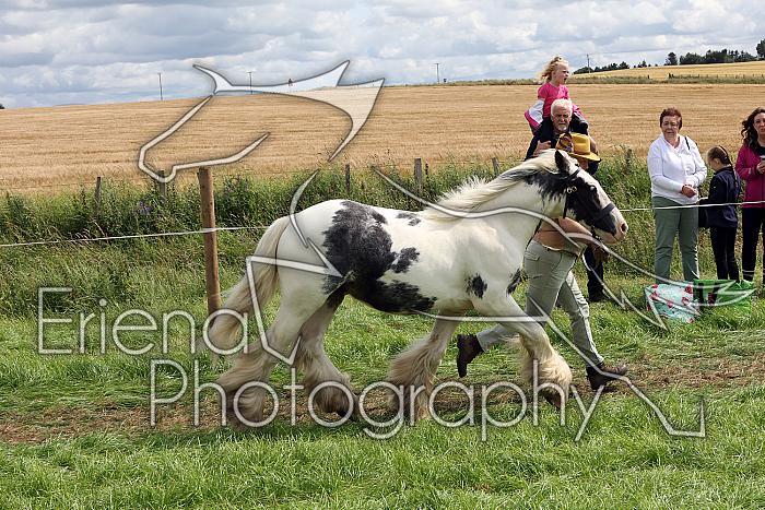 Carnwath2025Ring1638