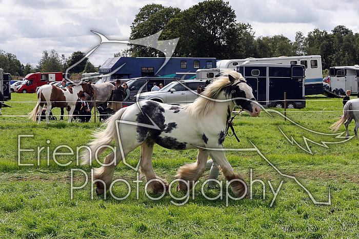 Carnwath2025Ring1639