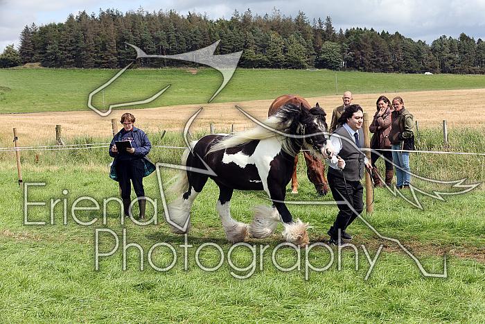 Carnwath2025Ring1640