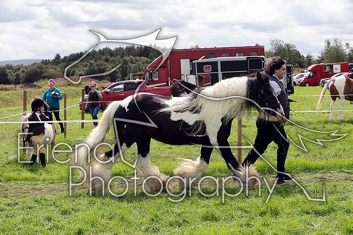 Carnwath2025Ring1644