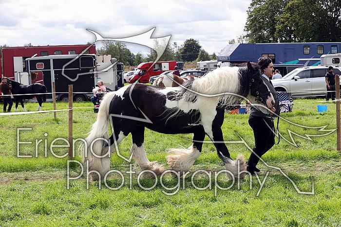 Carnwath2025Ring1645