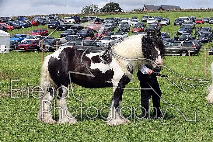 Carnwath2025Ring1649