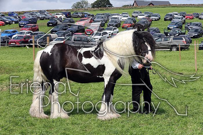 Carnwath2025Ring1650
