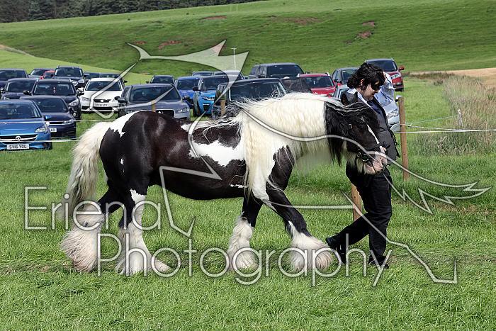 Carnwath2025Ring1659