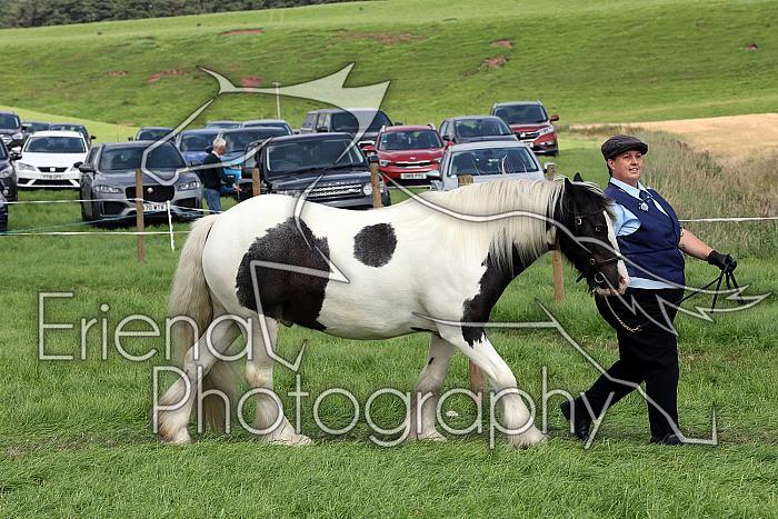 Carnwath2025Ring1661
