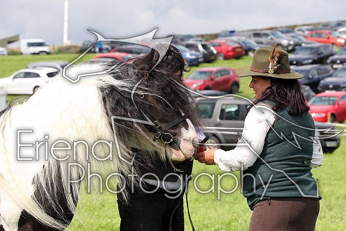 Carnwath2025Ring1664