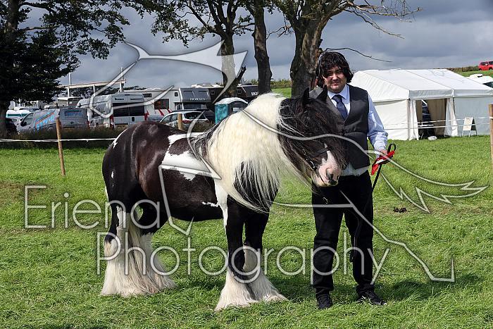 Carnwath2025Ring1666