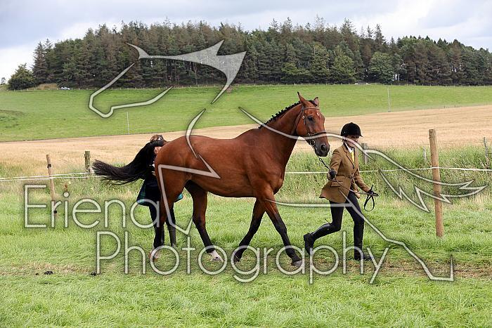 Carnwath2025Ring1676