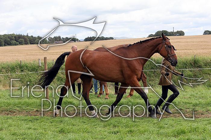 Carnwath2025Ring1680