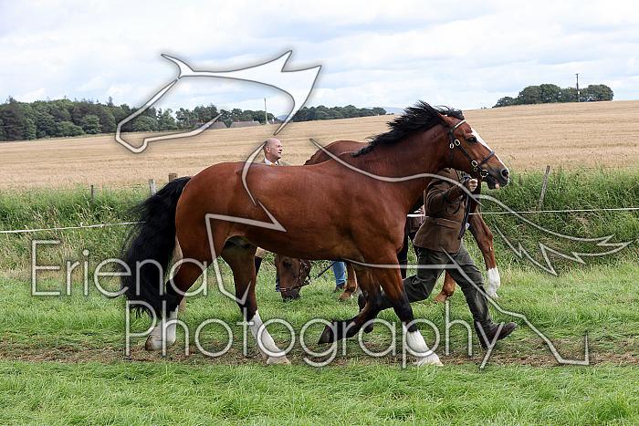 Carnwath2025Ring1681
