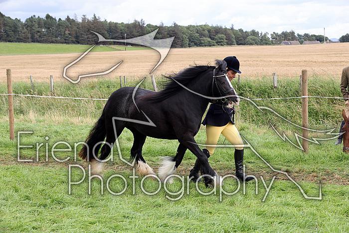 Carnwath2025Ring1684