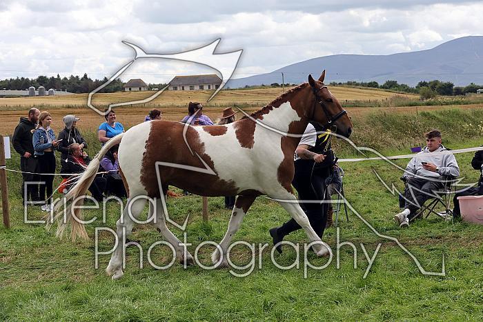 Carnwath2025Ring1690
