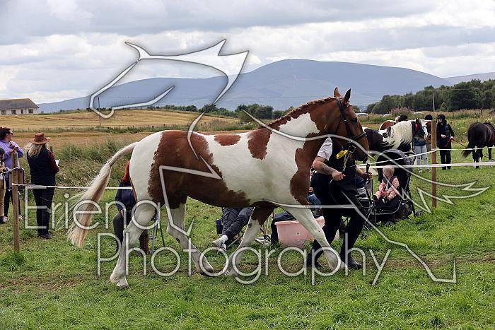 Carnwath2025Ring1691