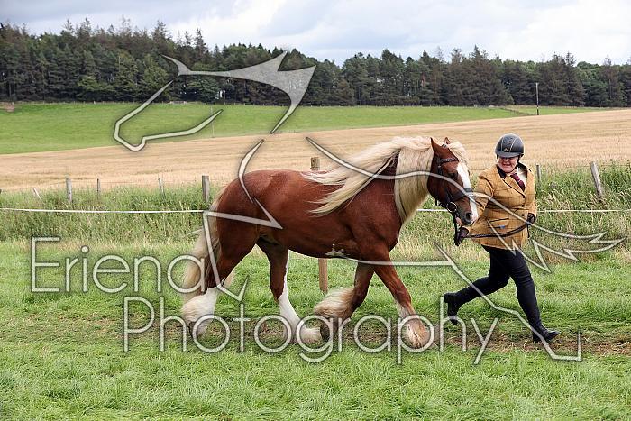 Carnwath2025Ring1692