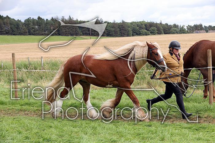 Carnwath2025Ring1693
