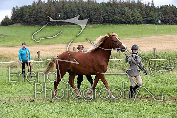 Carnwath2025Ring1695