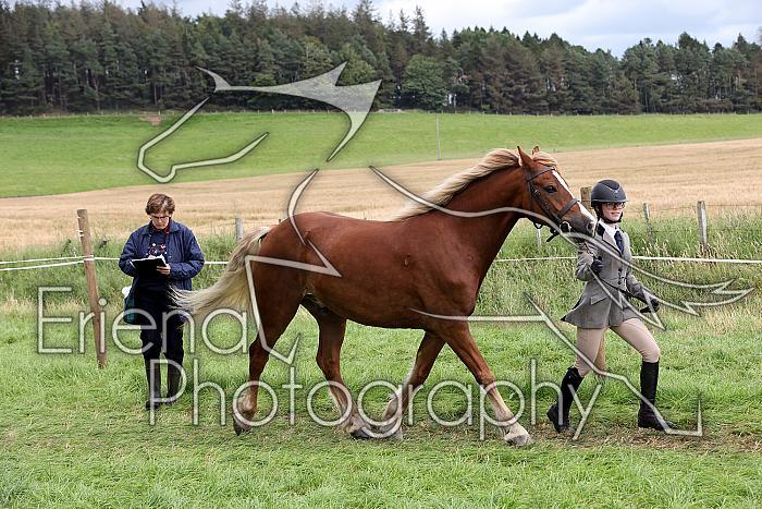 Carnwath2025Ring1696