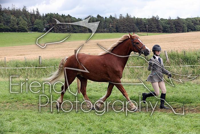 Carnwath2025Ring1697