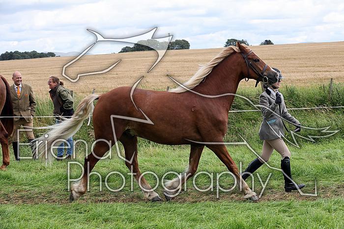 Carnwath2025Ring1700