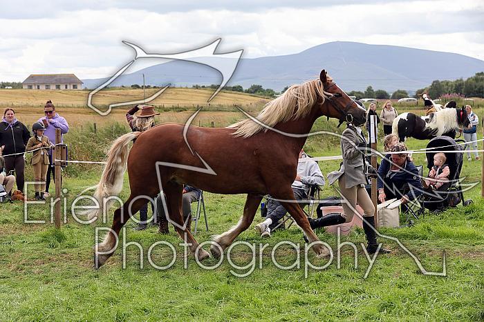Carnwath2025Ring1702