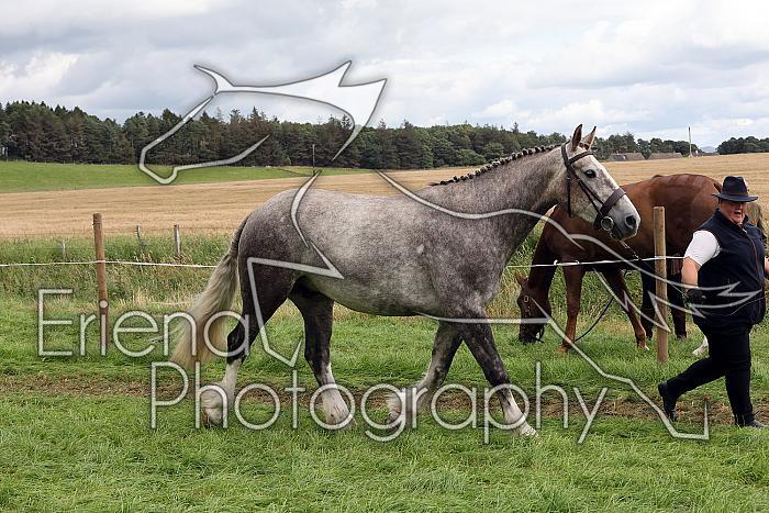 Carnwath2025Ring1703