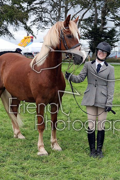 Carnwath2025Ring1706