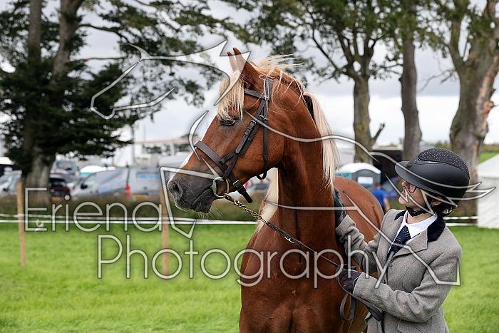 Carnwath2025Ring1709