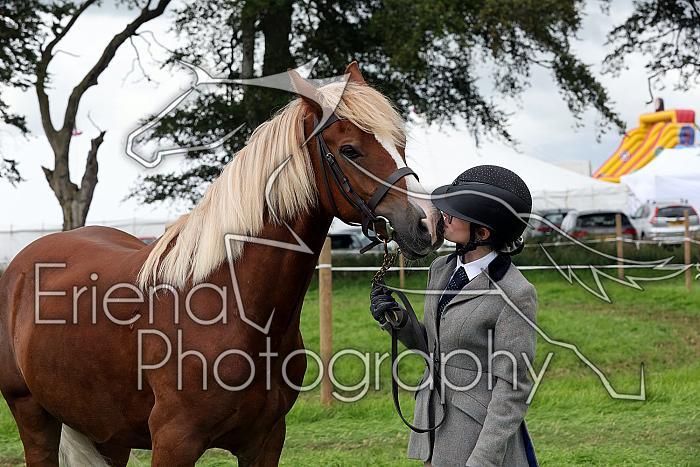 Carnwath2025Ring1713