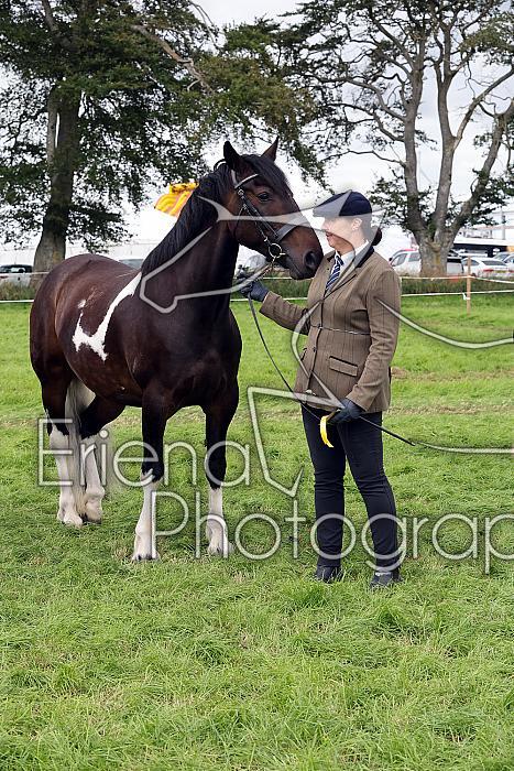 Carnwath2025Ring1715