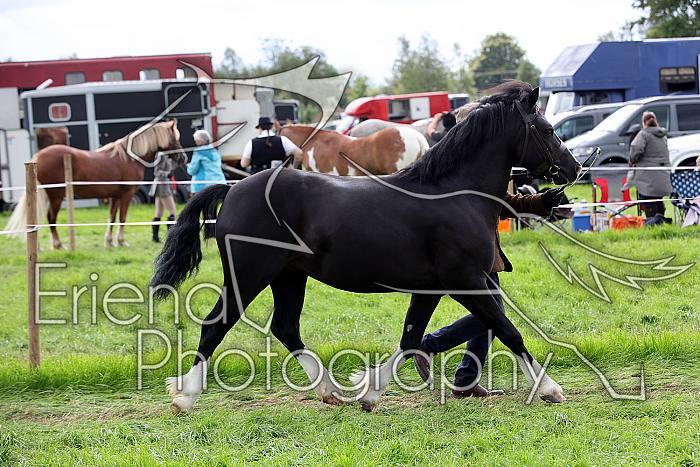 Carnwath2025Ring1722