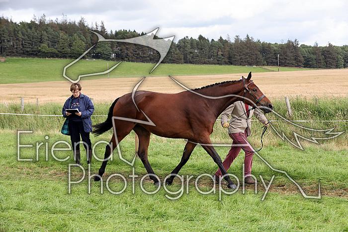 Carnwath2025Ring1723