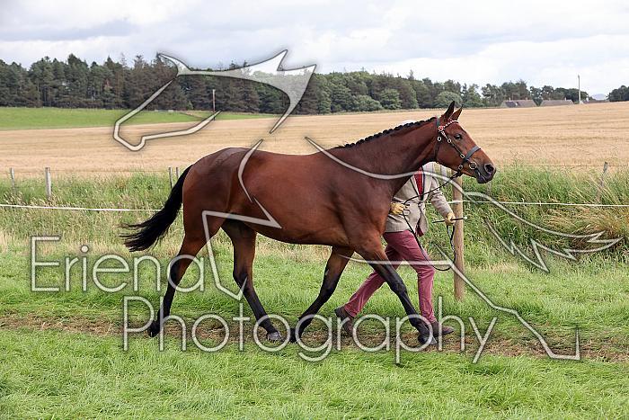 Carnwath2025Ring1724