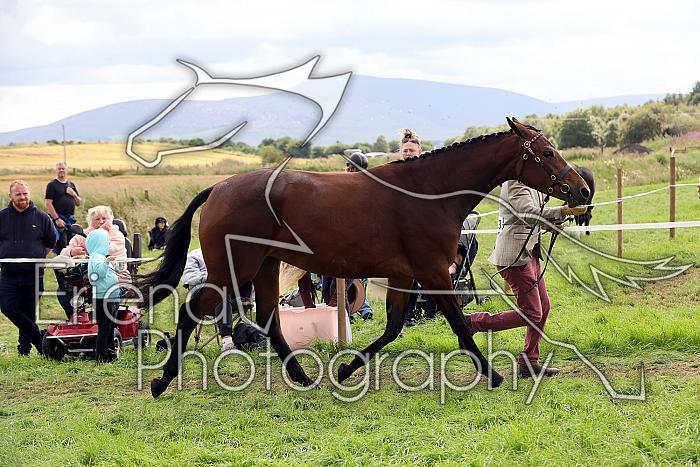 Carnwath2025Ring1727