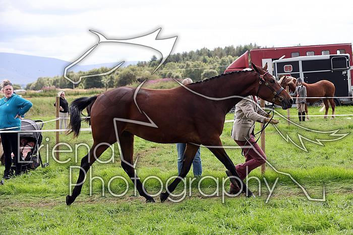 Carnwath2025Ring1728