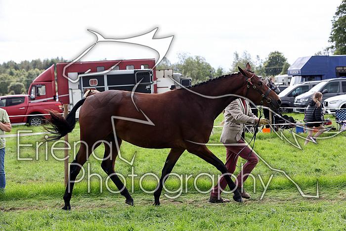 Carnwath2025Ring1729