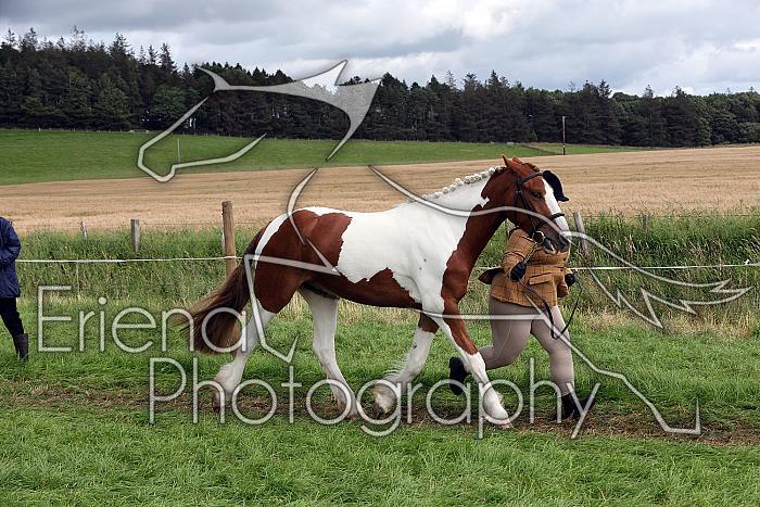 Carnwath2025Ring1731