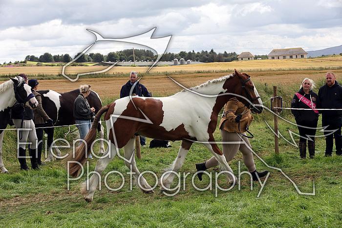 Carnwath2025Ring1735