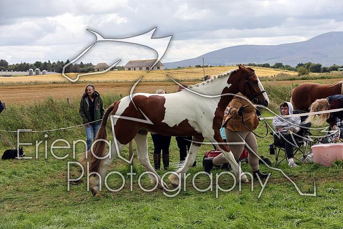 Carnwath2025Ring1736
