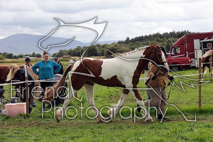 Carnwath2025Ring1738