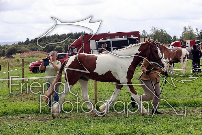 Carnwath2025Ring1739