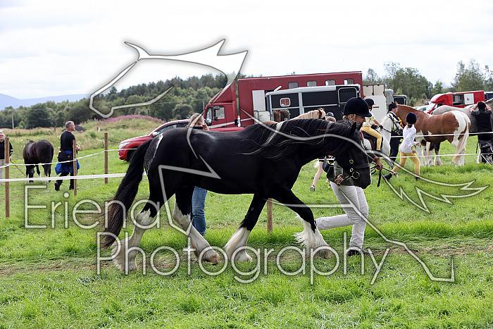 Carnwath2025Ring1747