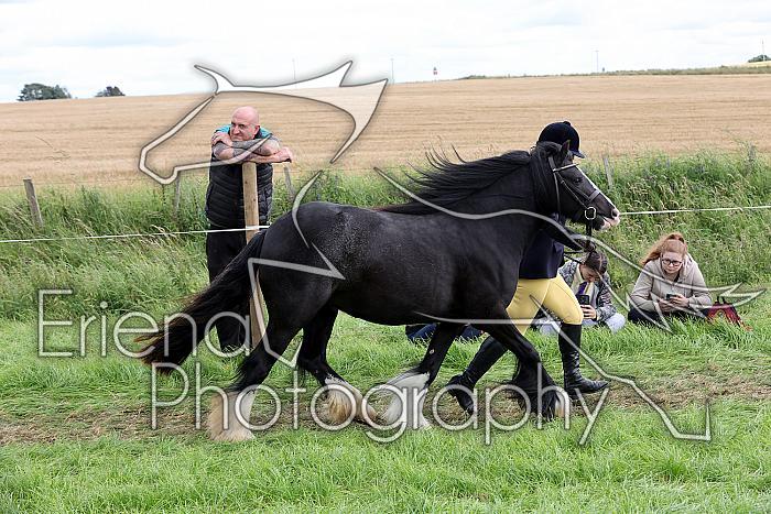 Carnwath2025Ring1750