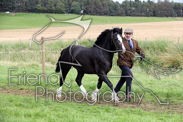 Carnwath2025Ring1754