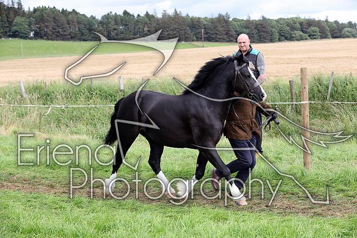 Carnwath2025Ring1755