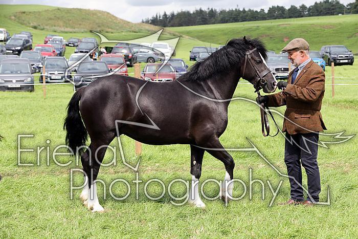 Carnwath2025Ring1760