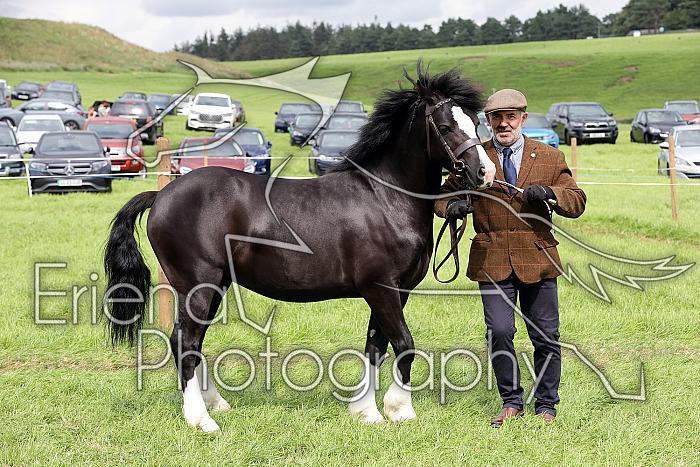 Carnwath2025Ring1761