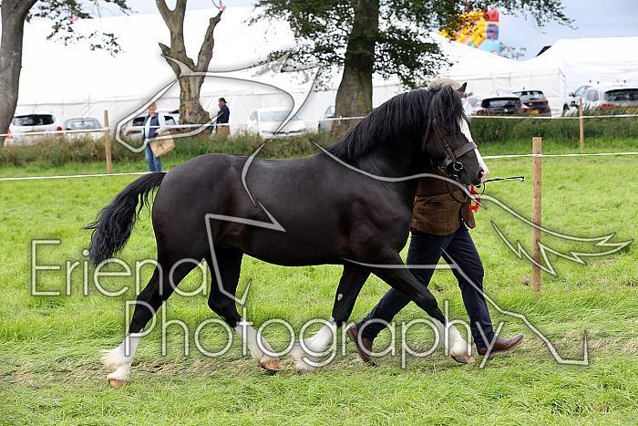 Carnwath2025Ring1764