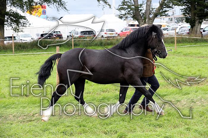 Carnwath2025Ring1765