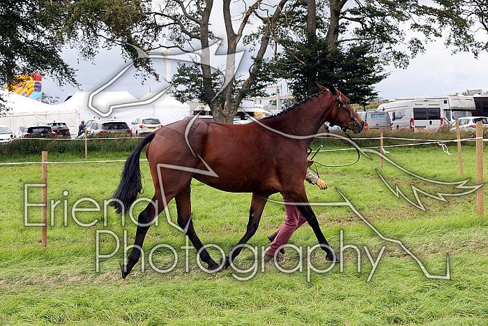 Carnwath2025Ring1766